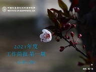 2021年度工作簡報　第一期