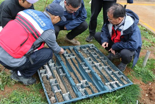 安塔基亞3124號強震臺附近鉆孔土樣調查